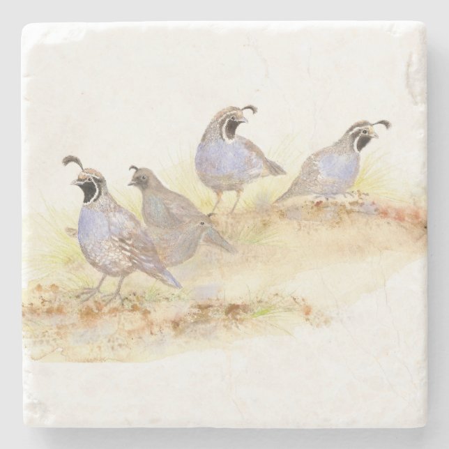 Watercolor California Quail Bird Nature art Stone Coaster (Front)