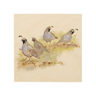 Watercolor California Quail State Bird Nature art