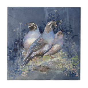 Watercolor California Quail Wildlife Bird Ceramic Tile