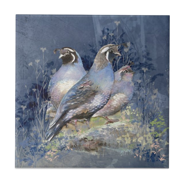 Watercolor California Quail Wildlife Bird Ceramic Tile (Front)