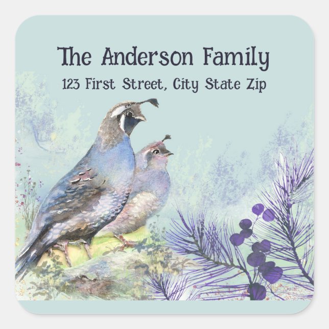Watercolor California Quail Wildlife Bird Nature  Square Sticker (Front)