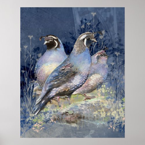 Watercolor California Quails Bird and Landscape Poster