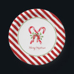 Watercolor candy cane with red & white  border paper plates<br><div class="desc">Elegant & festive hand painted watercolor candy cane with red and white candy cane stripe border Merry Christmas paper plates.</div>