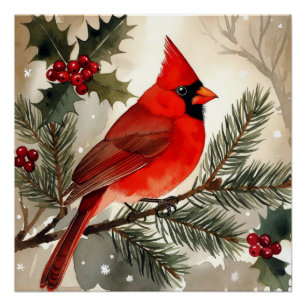 Watercolor Cardinal on Snowy Pine Branch Christmas Poster