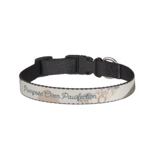 Watercolor Cat Collar (customizable)
