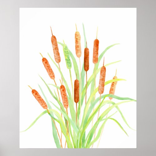 Watercolor Cattail Typha bulrush seed heads Poster