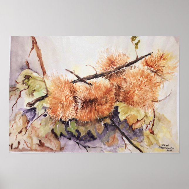 Watercolor Chesnuts hedgehog Poster (Front)
