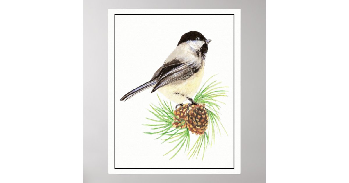 Watercolor Chickadee on Pine Cone Bird Family Poster | Zazzle