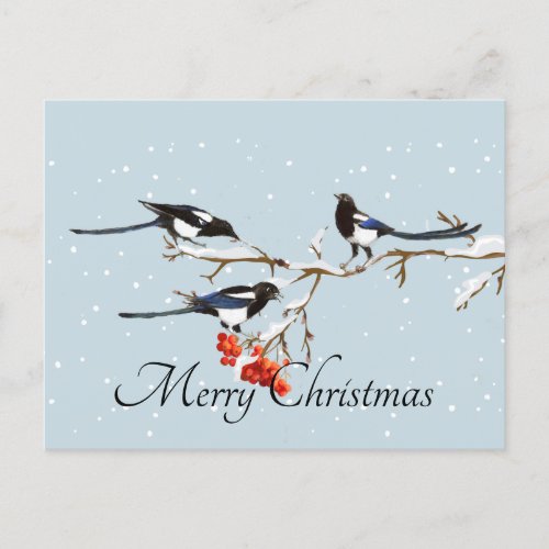 Watercolor Christmas Holly Magpie Bird Nature Art  Postcard