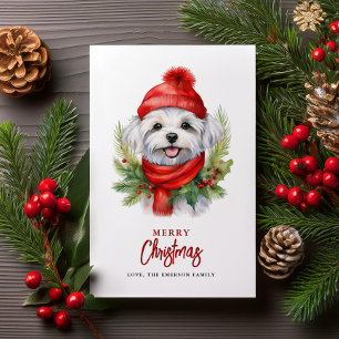 Watercolor Christmas Maltese Dog Holiday Card