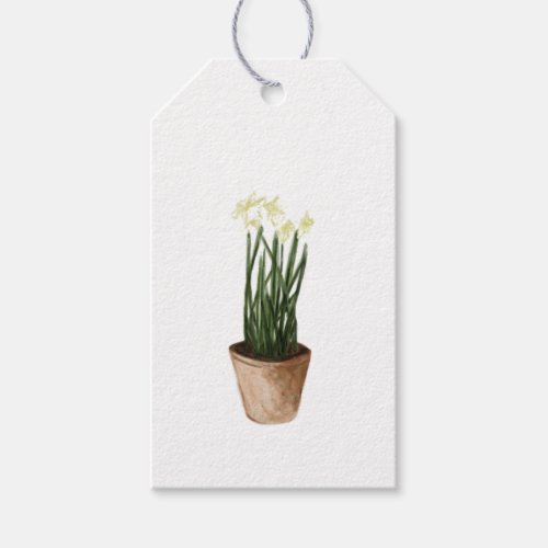Watercolor Christmas Potted Paperwhites Plant Gift Tags