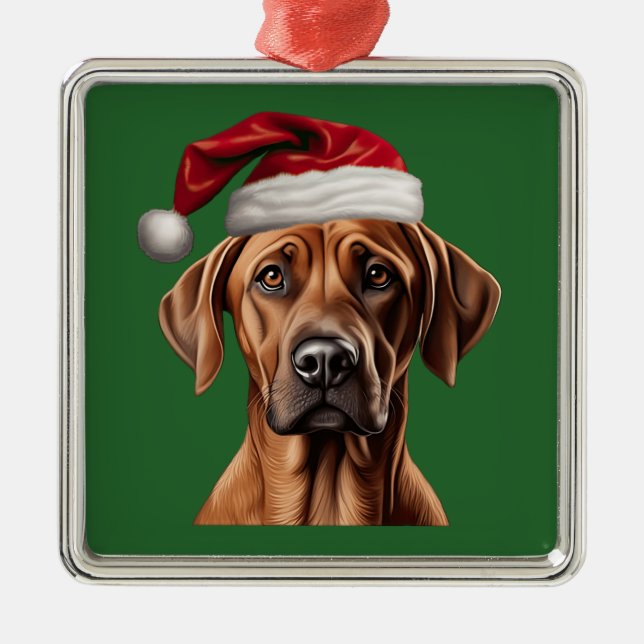 Watercolor Christmas  Rhodesian Ridgeback Ornament (Front)