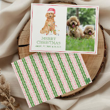 Watercolor Christmas Santa Dog Photo