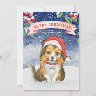 Watercolor Christmas Sheltie Furry Christmas Card