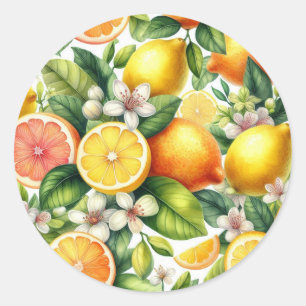 Watercolor Citrus Fruit Pattern Classic Round Sticker