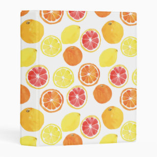 Watercolor Citrus Fruit Pattern Mini Binder
