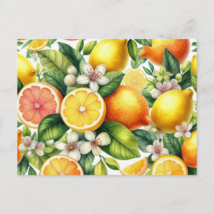 Watercolor Citrus Fruit Pattern Postcard