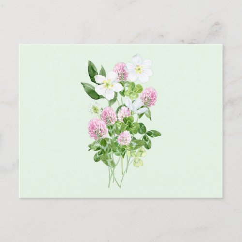 Watercolor Clover Flowers and Leaves Composition  Holiday Postcard