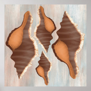 Watercolor Conch Seashell  Poster