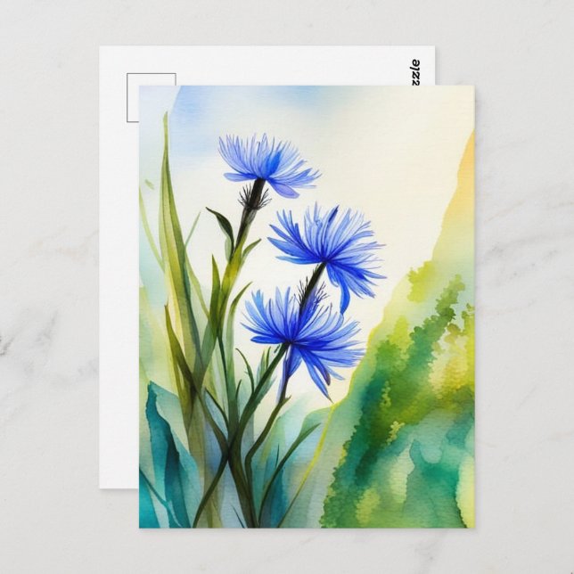 Watercolor Cornflower, Postcrossing  Postcard (Front/Back)
