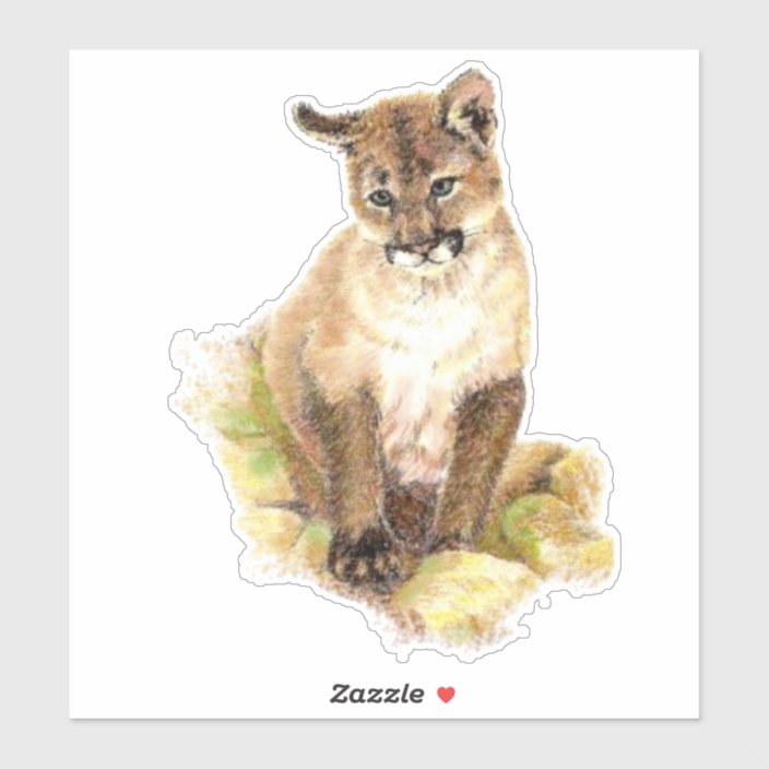 Watercolor Cougar Puma Mountain Lion Cub Animal Sticker Zazzle Com