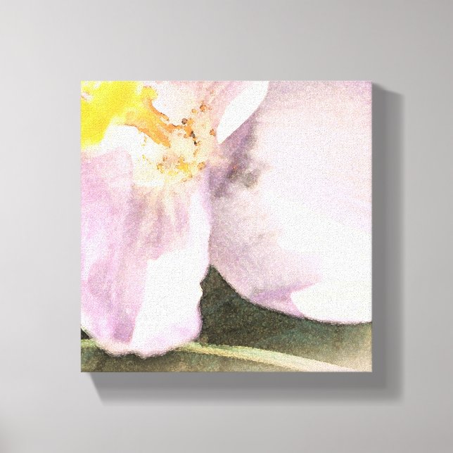 Watercolor Crocus Flower Painting Canvas Print (Front)