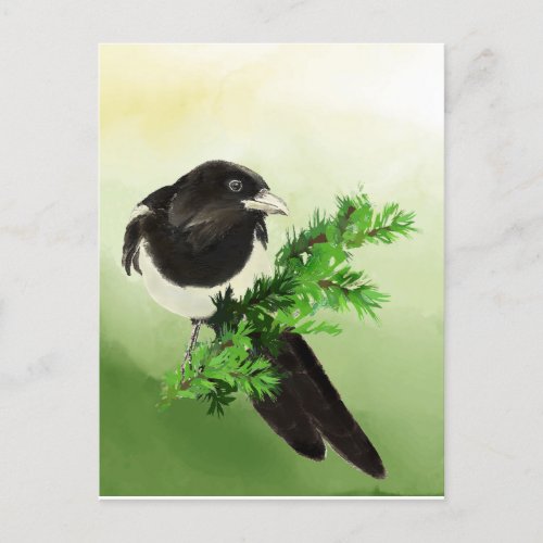 Watercolor Curious Magpie Garden Bird Wildife Art  Postcard