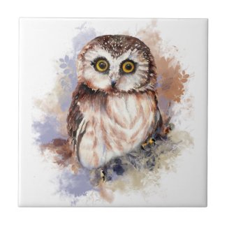 Watercolor Cute Little Saw Whet Owl Bird