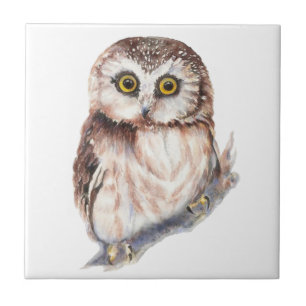 Watercolor Cute Little Shocked Looking Owl Bird Tile