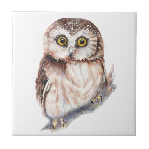 Watercolor Cute Little Shocked Looking Owl Bird Tile