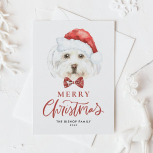Watercolor Cute Maltese Santa Merry Christmas Holiday Postcard