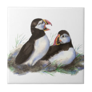 Watercolor Cute Puffin Bird Art Ceramic Tile