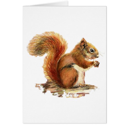 Watercolor Cute Red Squirrel Animal Nature (Front)