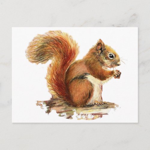 Watercolor Cute Red Squirrel Animal Nature Postcard