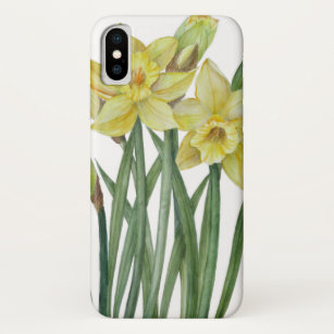 Watercolor Daffodils Flower Portrait Illustration iPhone XS Case