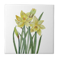 Watercolor Daffodils Flower Portrait Illustration Ceramic Tile