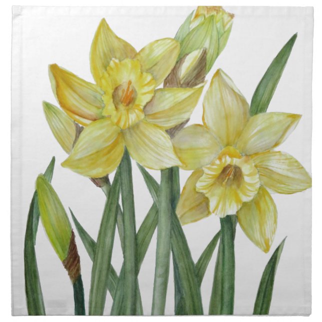 Watercolor Daffodils Flower Portrait Illustration Cloth Napkin (Front)