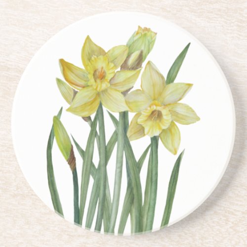 Watercolor Daffodils Flower Portrait Illustration Coaster