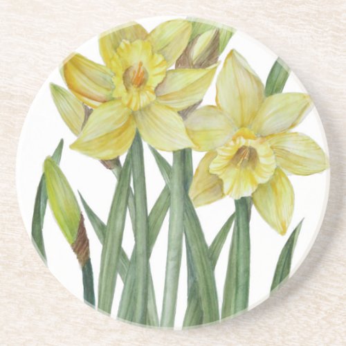 Watercolor Daffodils Flower Portrait Illustration Drink Coaster
