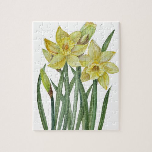 Watercolor Daffodils Flower Portrait Illustration Jigsaw Puzzle