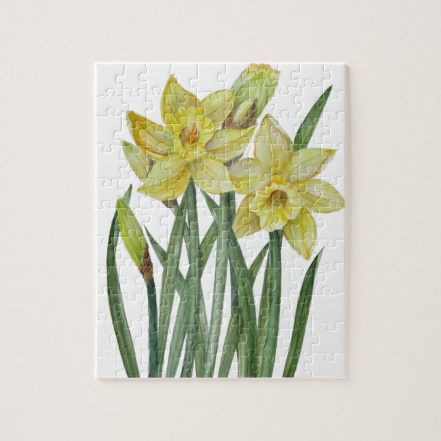 Watercolor Daffodils Flower Portrait Illustration Jigsaw Puzzle (Vertical)