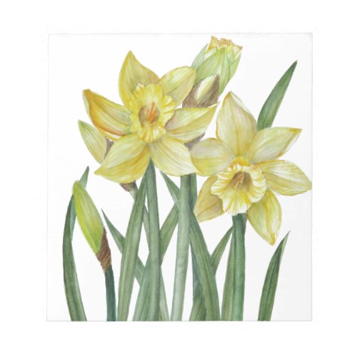 Watercolor Daffodils Flower Portrait Illustration Notepad