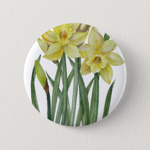 Watercolor Daffodils Flower Portrait Illustration Pinback Button