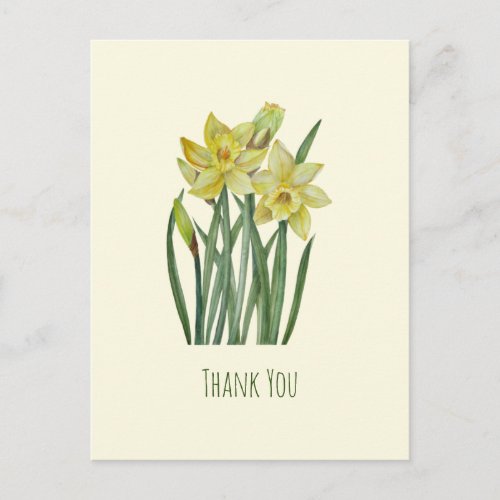 Watercolor Daffodils Flower Portrait Illustration  Postcard