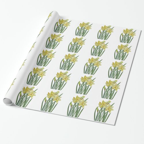 Watercolor Daffodils Flower Portrait Illustration Wrapping Paper