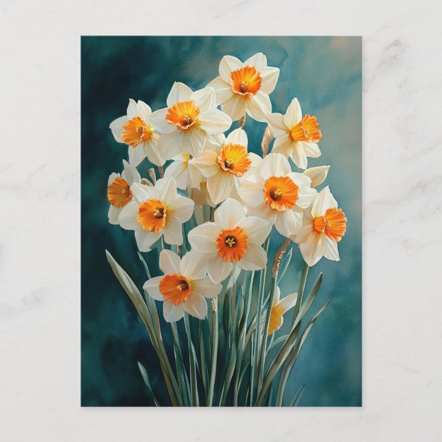 Watercolor Daffodils Teal Background Postcard (Front)