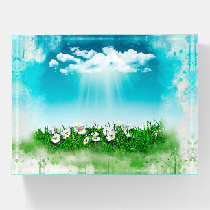 Watercolor daisies field clouds sky paperweight