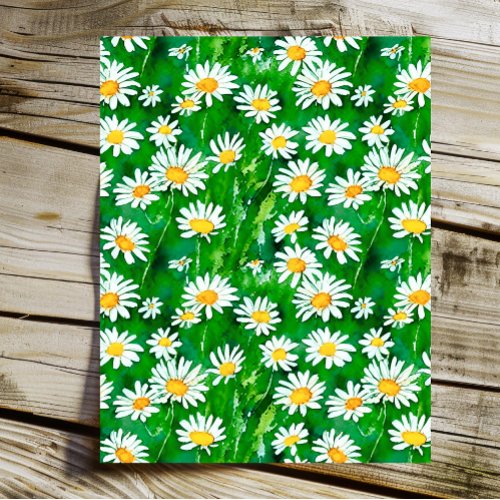 Watercolor Daisies in a Green Field