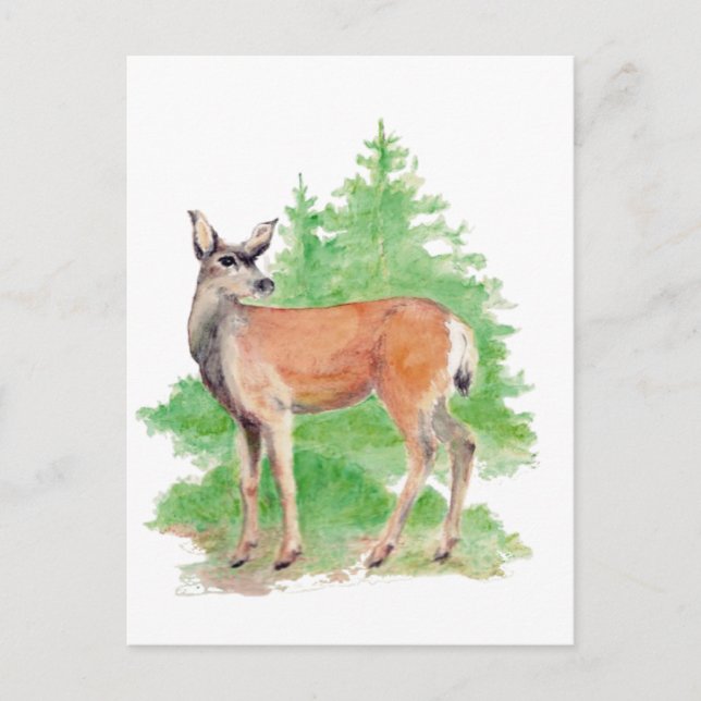 Watercolor Deer, Animal Nature Wildlife Postcard (Front)