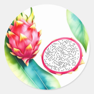 Watercolor Dragon Fruit in Bold Colors on White Classic Round Sticker